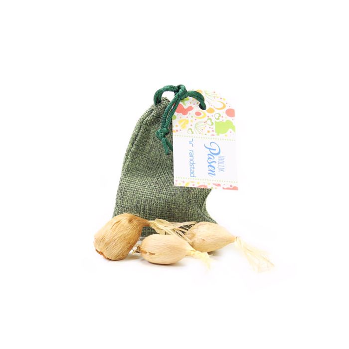 Jute paaszak met bloembollen klein