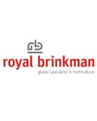 Royal Brinkman