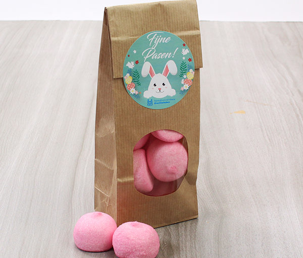 Springkussenverhuur Drechtsteden geeft vrolijke spekbollen weg